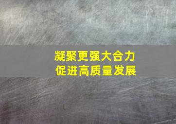 凝聚更强大合力 促进高质量发展